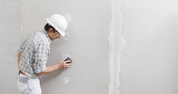 Best Drywall Texturing  in Crump, TN